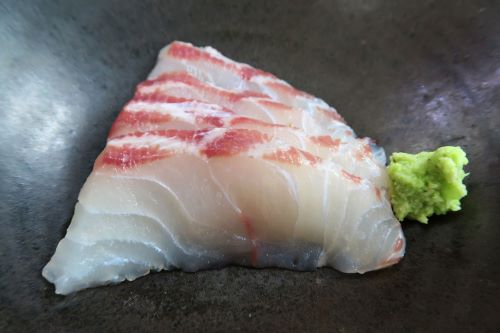 マツダイ 魚類 市場魚貝類図鑑