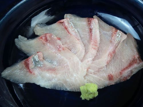 クリックで拡大表示 オニヒラアジの腹身の刺身