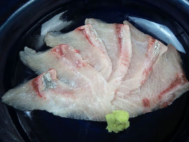 オニヒラアジの腹身の刺身