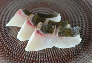 カッポレ 魚類 市場魚貝類図鑑