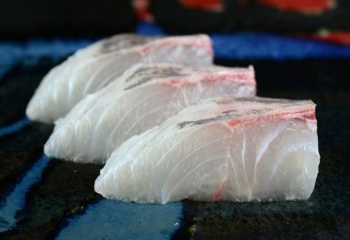 カッポレ 魚類 市場魚貝類図鑑