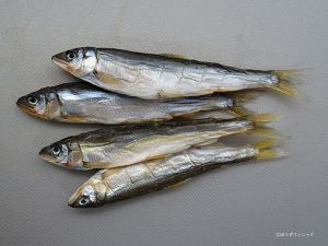 クリックで拡大表示 小鮎の天日干し