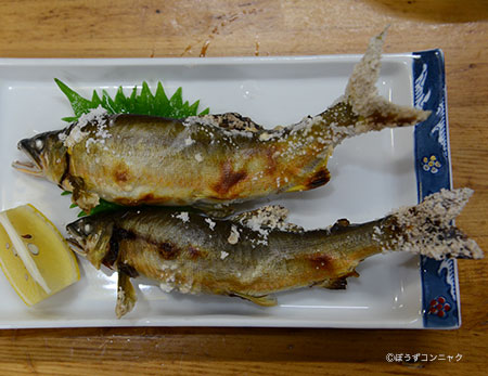 アユの塩焼き