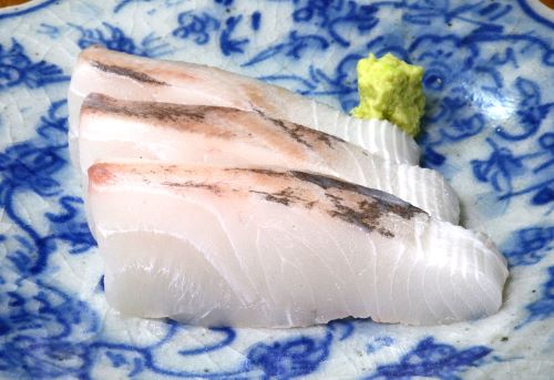 マナガツオ 魚類 市場魚貝類図鑑