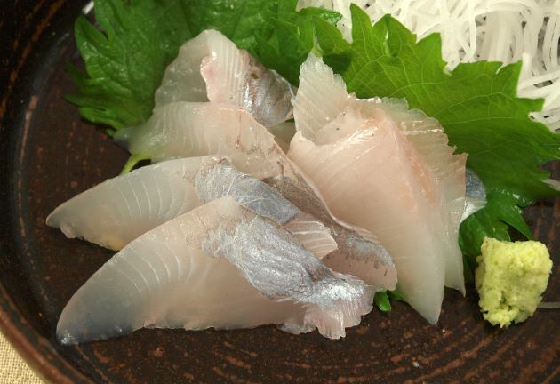 マナガツオ | 魚類 | 市場魚貝類図鑑