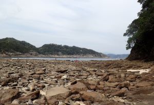 クリックで拡大表示