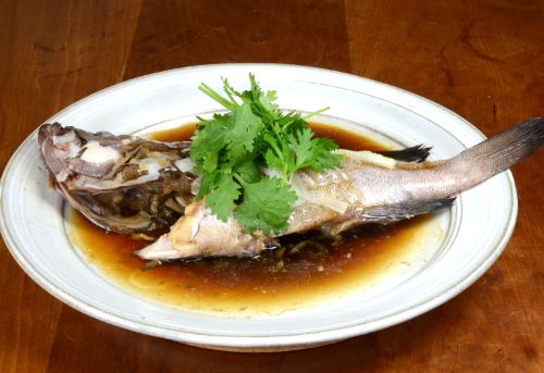 マハタ 魚類 市場魚貝類図鑑