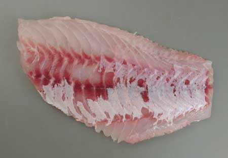 マハタのあら煮