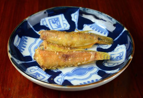 ユウダチトラギス 魚類 市場魚貝類図鑑