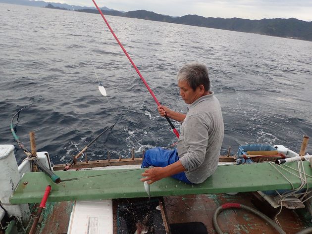 めじか新子一本釣り