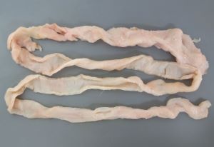 クリックで拡大表示