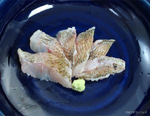 クリックで拡大表示 ムツの刺身(焼霜造り)