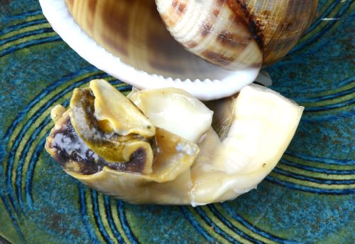 クリックで拡大表示