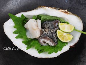 クリックで拡大表示 ヒレナシシャコの刺身