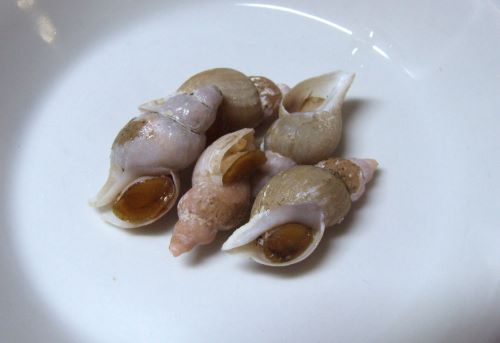 クリックで拡大表示