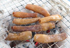 ユムシ その他生物 市場魚貝類図鑑