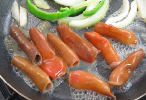 ユムシ その他生物 市場魚貝類図鑑