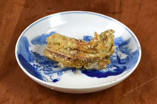 ニシキハゼ 魚類 市場魚貝類図鑑