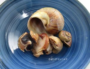 クリックで拡大表示