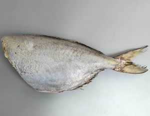 クリックで拡大表示