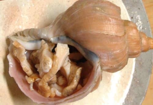 クリックで拡大表示