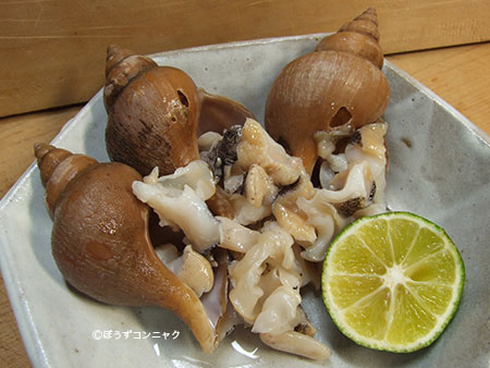 マドカエゾボラの刺身