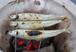 クリックで拡大表示