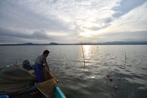 クリックで拡大表示 八郎潟ワカサギ漁