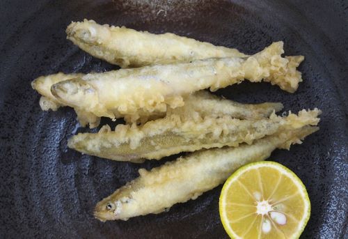 ワカサギ 魚類 市場魚貝類図鑑