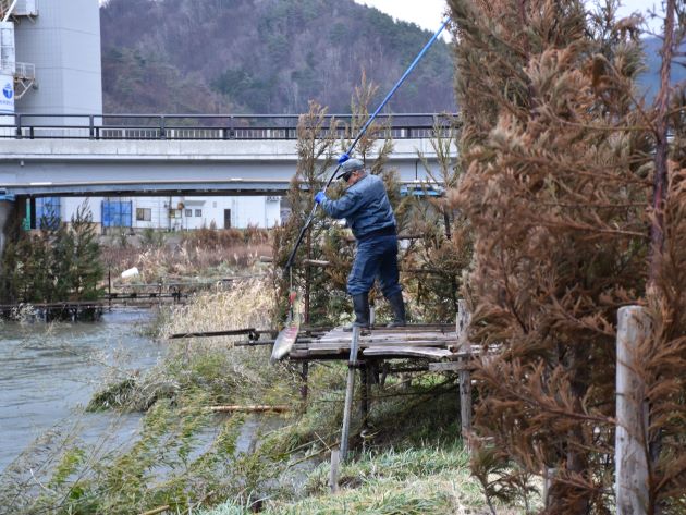 村上市大川のコド漁
