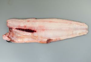 クリックで拡大表示