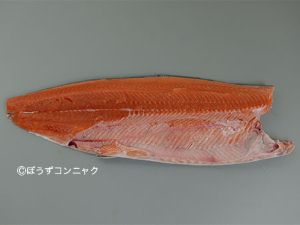 ケイジ サケ 市場魚貝類図鑑