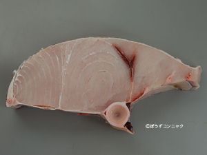 クリックで拡大表示