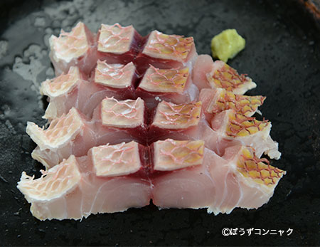 オオクチハマダイの刺身