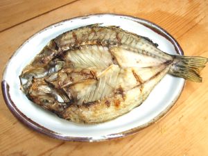 シマイサキ 魚類 市場魚貝類図鑑