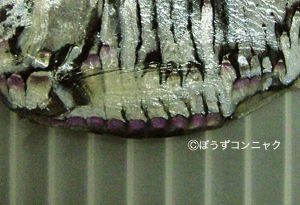 クリックで拡大表示