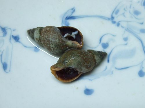 クリックで拡大表示