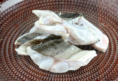 コトヒキ 魚類 市場魚貝類図鑑 コトヒキ 魚類 市場魚貝類図鑑