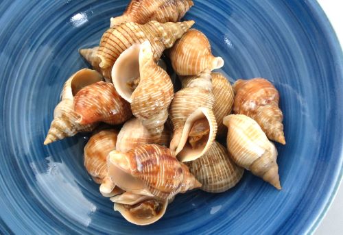 クリックで拡大表示