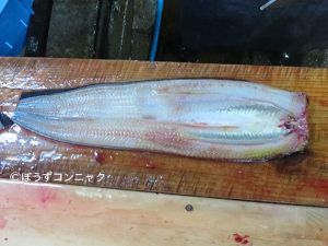 クリックで拡大表示