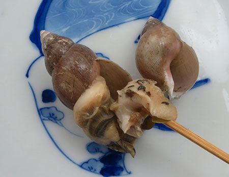ドングリバイの煮つけ