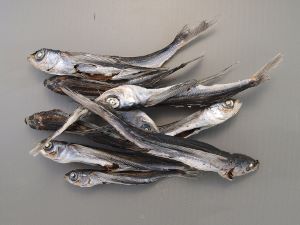 ホソトビウオ アゴ 市場魚貝類図鑑 ホソトビウオ アゴ 市場魚貝類図鑑