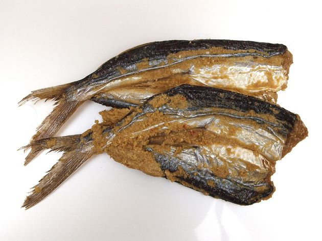 ホソトビウオ アゴ 市場魚貝類図鑑