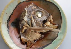 クリックで拡大表示