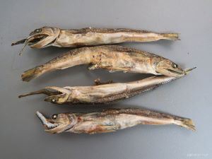 クリックで拡大表示 マエソの煮干し