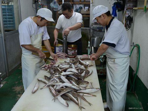 クリックで拡大表示 マエソのすり身作り風景