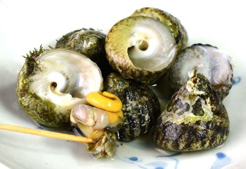 クリックで拡大表示