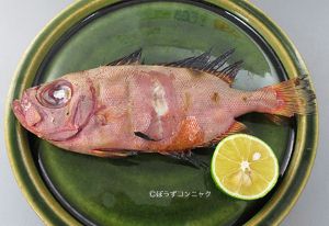 クリックで拡大表示