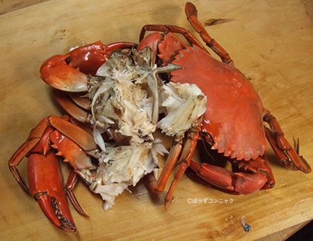 蒸したアカテノコギリガザミ