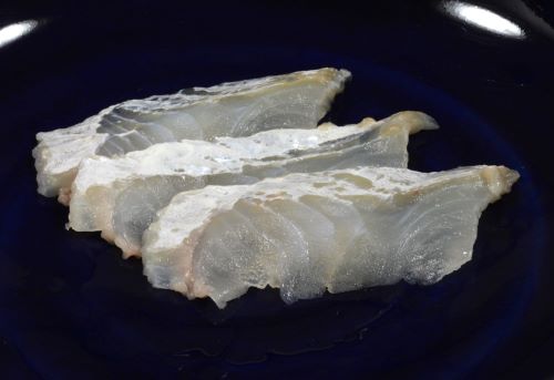 ヌマガレイ 魚類 市場魚貝類図鑑